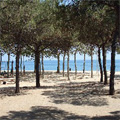 Camping & bungalows Barcelona